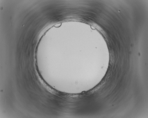 X0000064771431200603131422