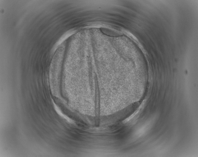 X0000064771433200603131422