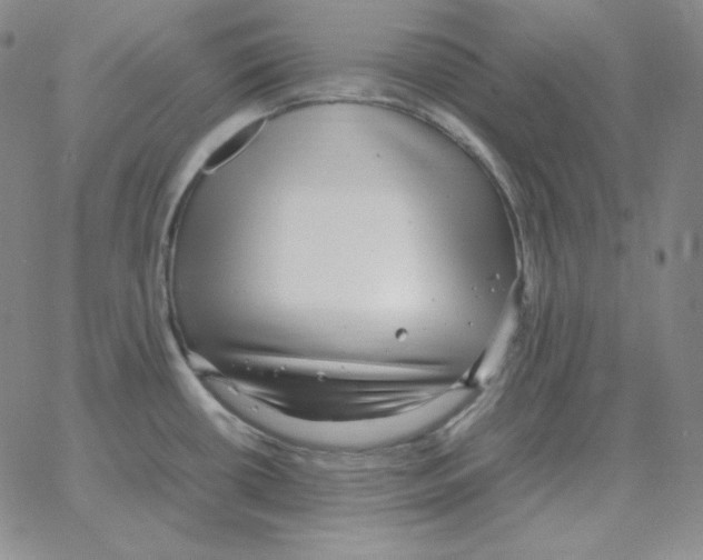 X0000064771434200603131423