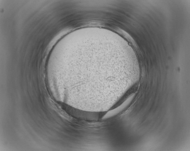 X0000064771435200603131423