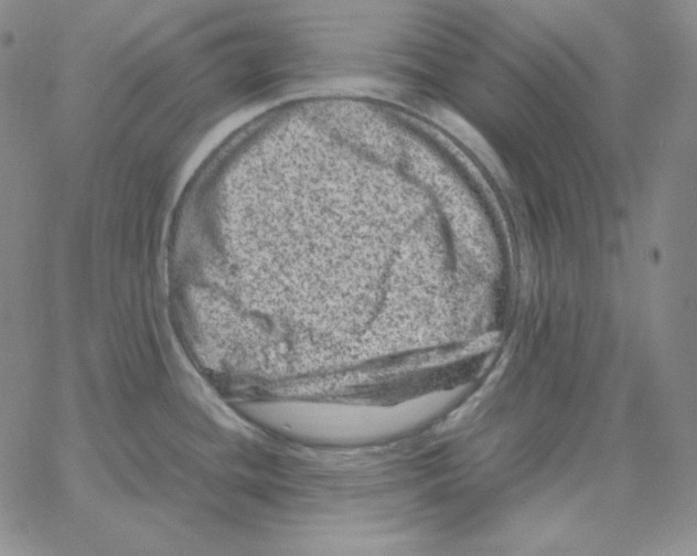 X0000064771436200603131423