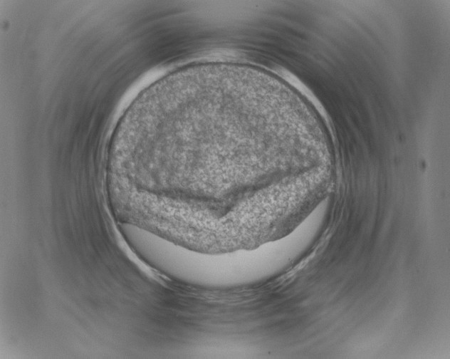 X0000064771437200603131423