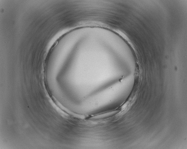 X0000064771438200603131423