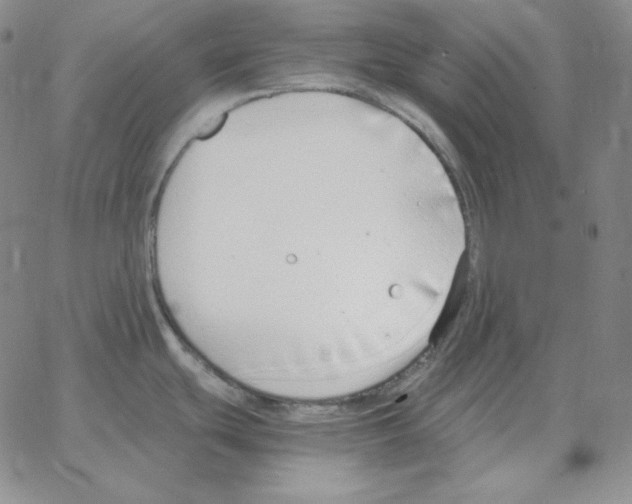 X0000064771439200603131423