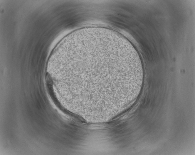 X0000064771440200603131423