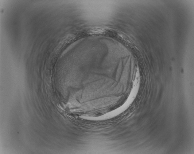 X0000064771441200603131422