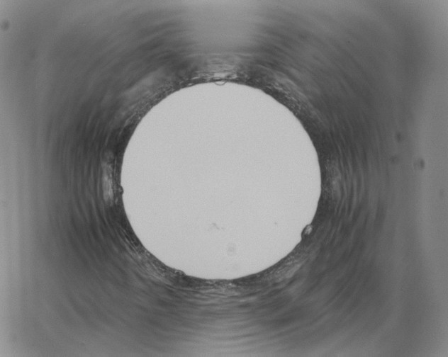 X0000064771442200603131422