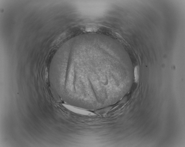 X0000064771443200603131422