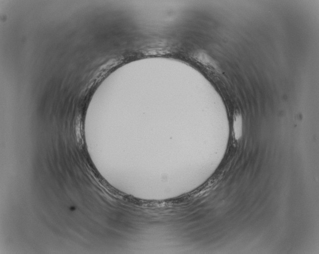 X0000064771444200603131422