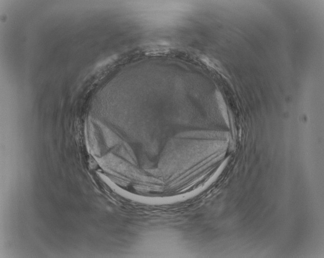 X0000064771445200603131422