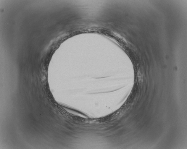 X0000064771447200603131422