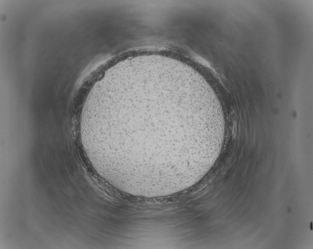 X0000064771448200603131422