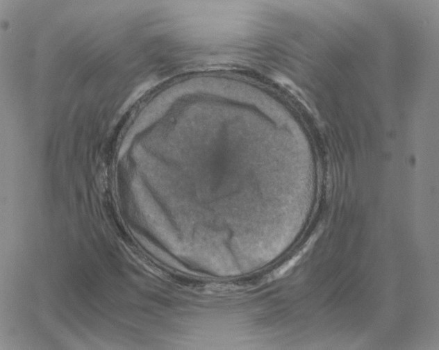 X0000064771449200603131422