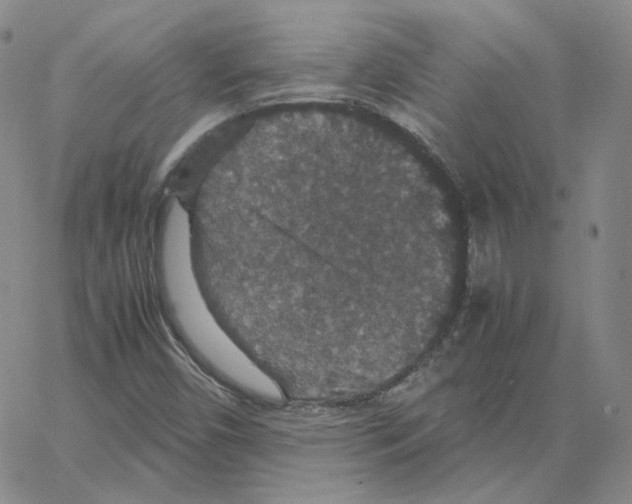 X0000064771450200603131422