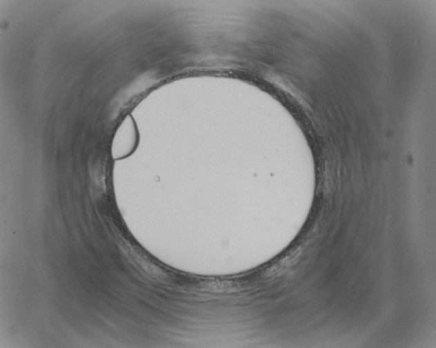 X0000064771451200603131422