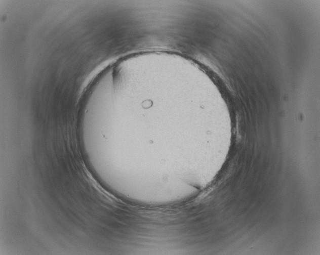 X0000064771452200603131422