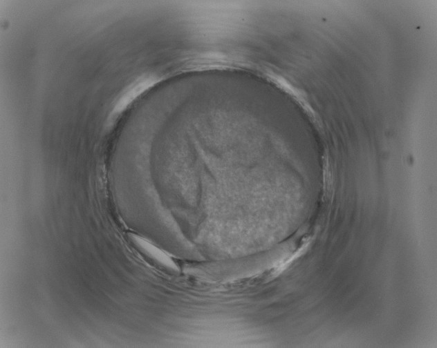 X0000064771453200603131422