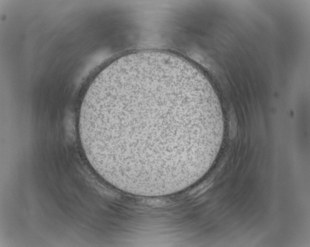 X0000064771454200603131422