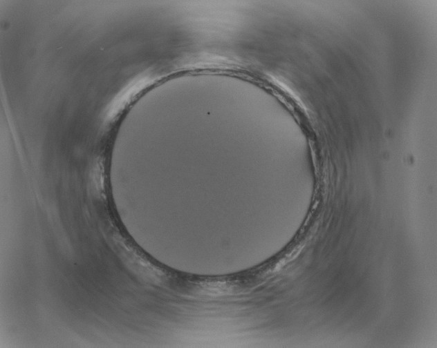 X0000064771455200603131422