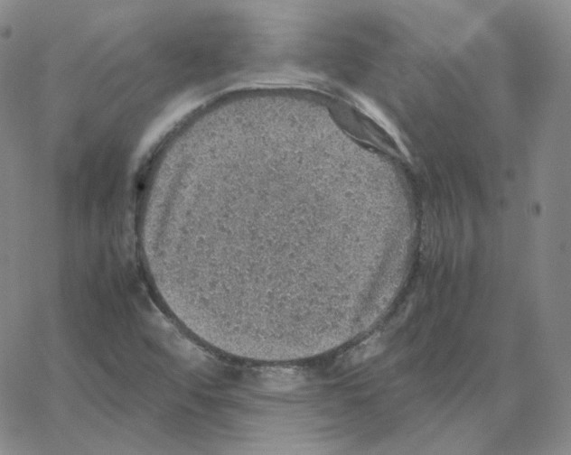 X0000064771456200603131422