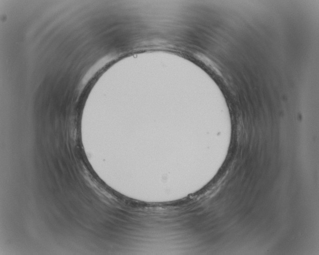 X0000064771458200603131422