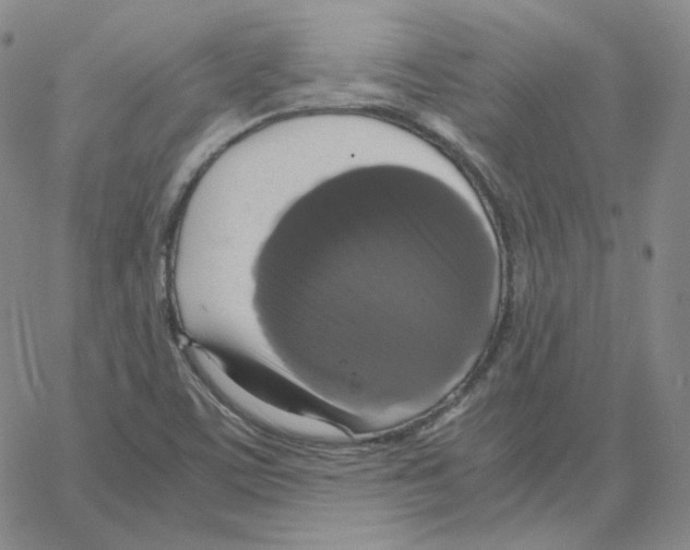 X0000064771459200603131422