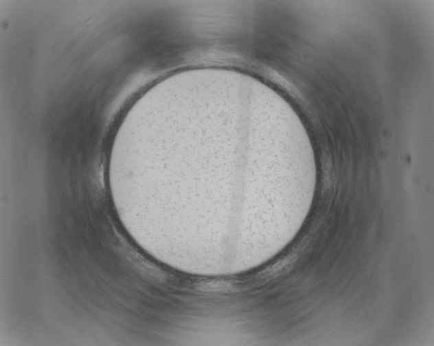 X0000064771462200603131421