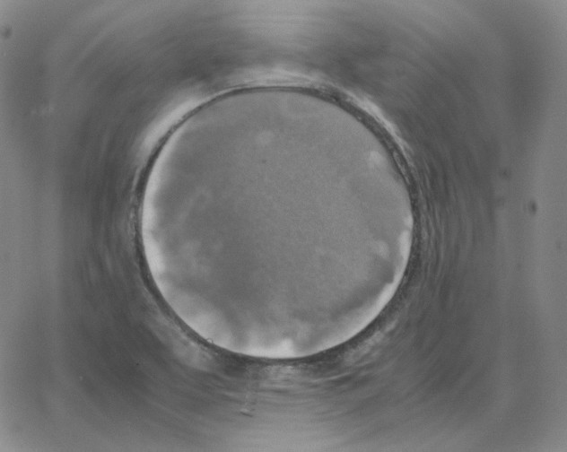 X0000064771463200603131421