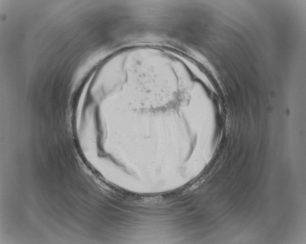 X0000064771464200603131421