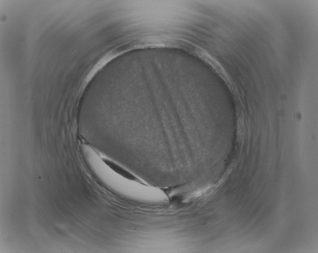 X0000064771465200603131421