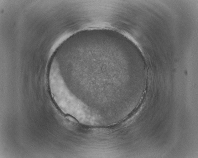 X0000064771469200603131421