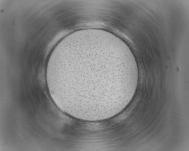 X0000064771470200603131421