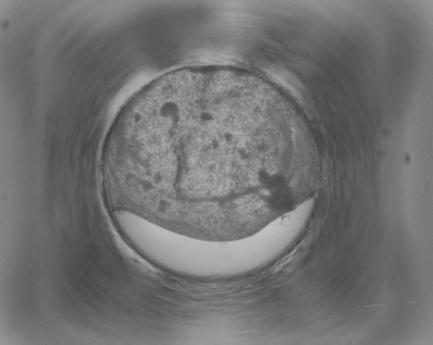 X0000064771471200603131421