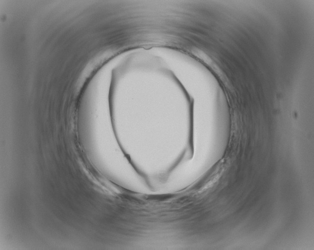 X0000064771477200603131421