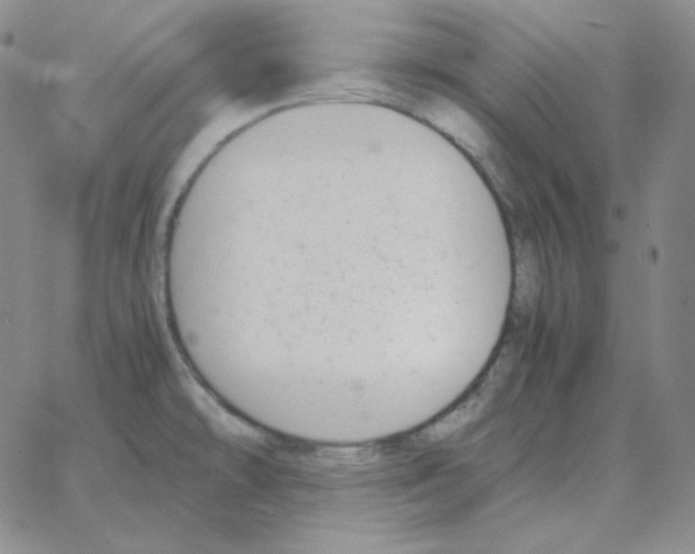 X0000064771478200603131421