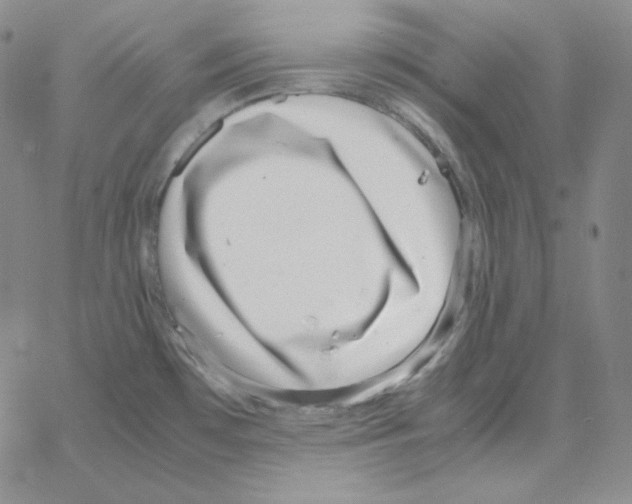 X0000064771481200603131421