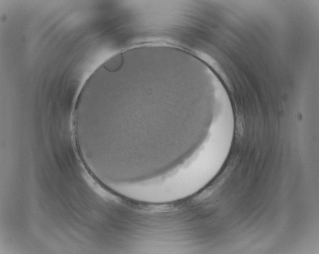 X0000064771482200603131421