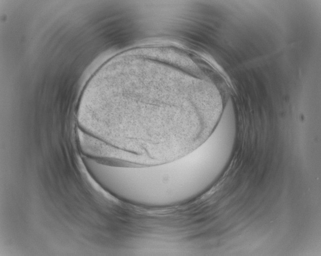 X0000064771484200603131421