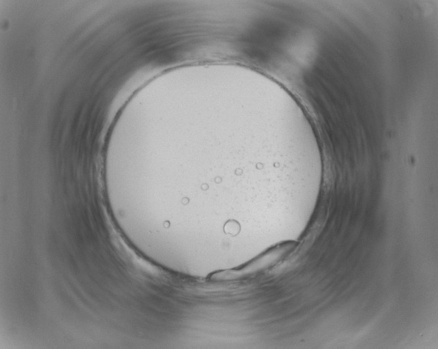 X0000064771486200603131421