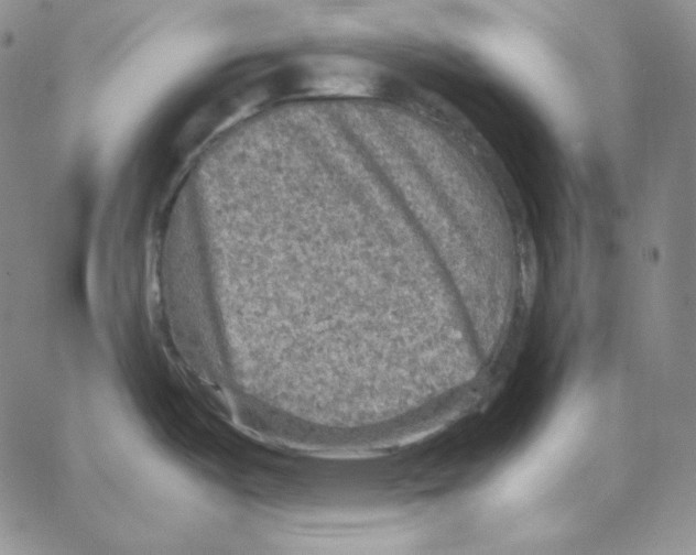 X0000064771487200603131421