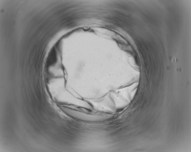 X0000064771488200603131421