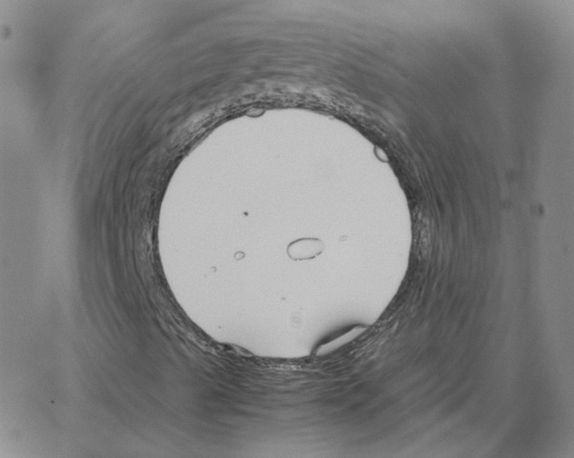 X0000064771489200603131420