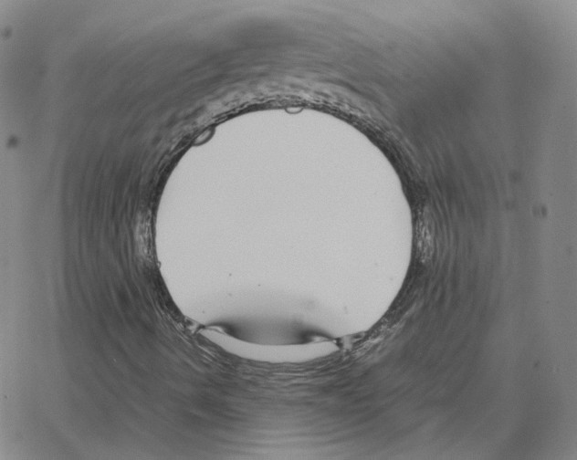 X0000064771490200603131420