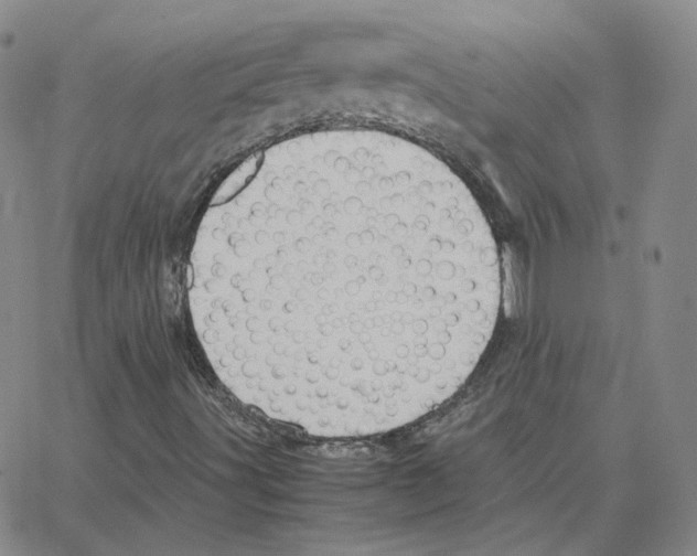 X0000064771491200603131420