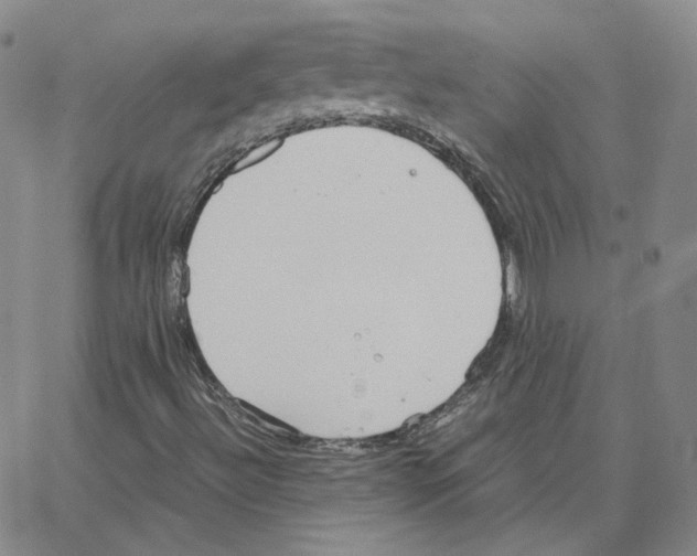 X0000064771492200603131420