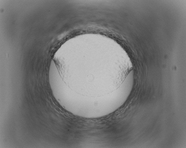 X0000064771493200603131420