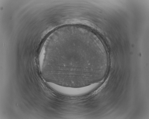 X0000064771497200603131420