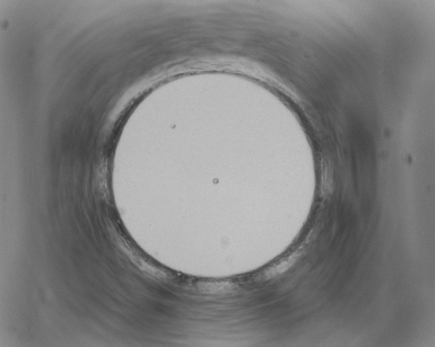 X0000064771498200603131420