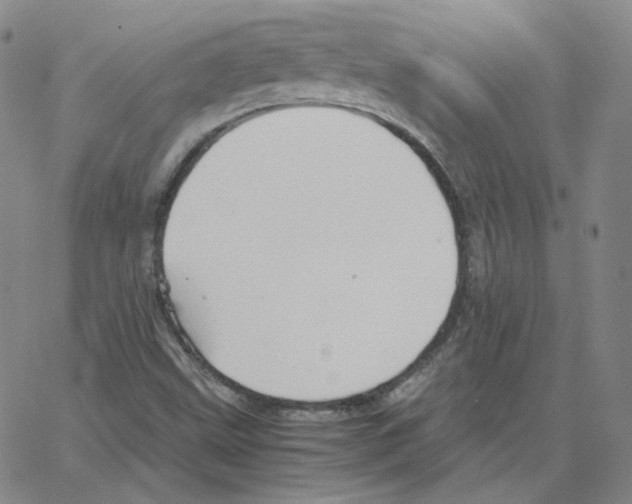 X0000064771499200603131420