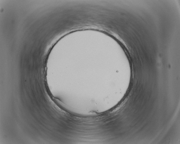 X0000064771500200603131420